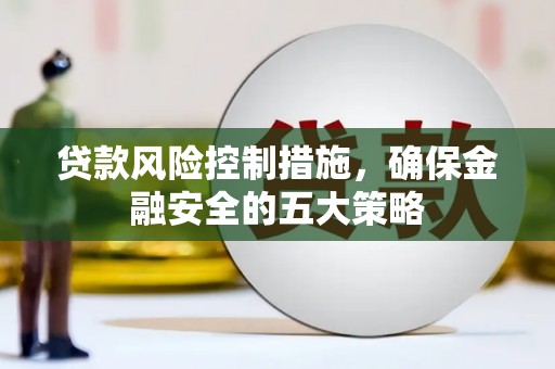无为贷款风险控制措施，确保金融安全的五大策略
