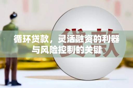 无为循环贷款，灵活融资的利器与风险控制的关键