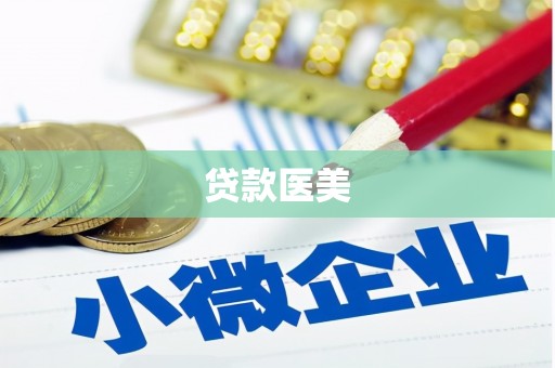 无为贷款医美