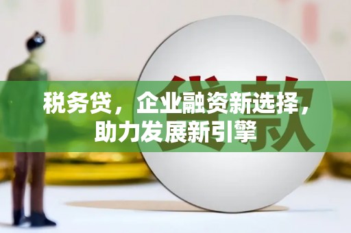 无为税务贷，企业融资新选择，助力发展新引擎