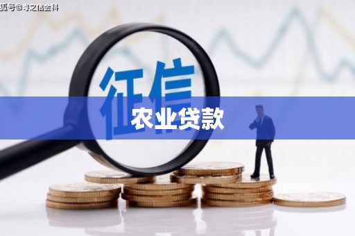 无为农业贷款