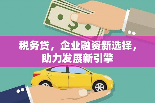 无为税务贷，企业融资新选择，助力发展新引擎