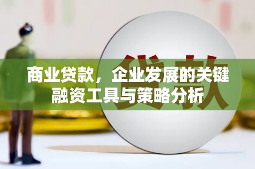 无为商业贷款，企业发展的关键融资工具与策略分析