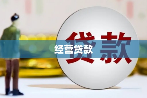 无为经营贷款