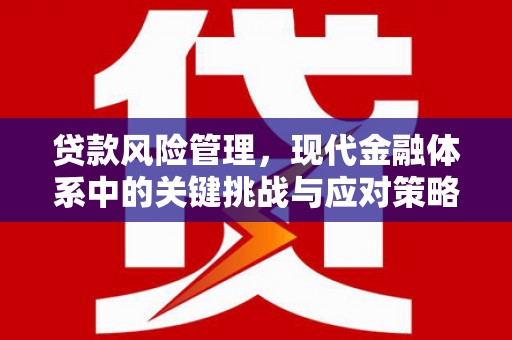 无为贷款风险管理，现代金融体系中的关键挑战与应对策略
