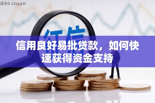 无为信用良好易批贷款，如何快速获得资金支持