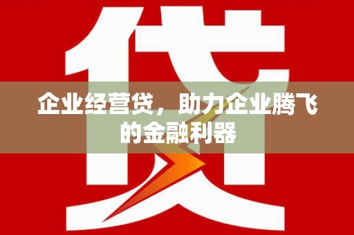 无为企业经营贷，助力企业腾飞的金融利器
