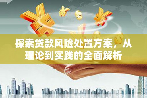 无为探索贷款风险处置方案，从理论到实践的全面解析