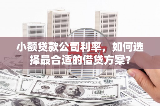 无为小额贷款公司利率，如何选择最合适的借贷方案？