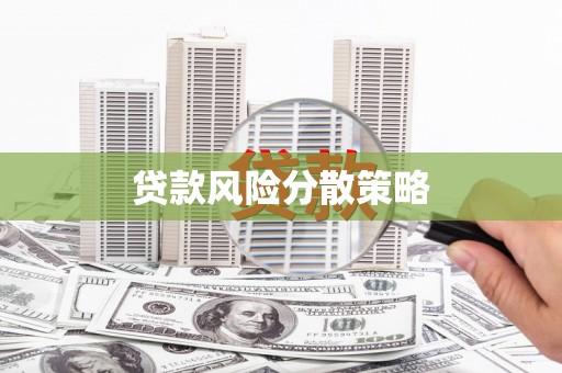 无为贷款风险分散策略