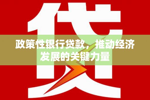无为政策性银行贷款，推动经济发展的关键力量