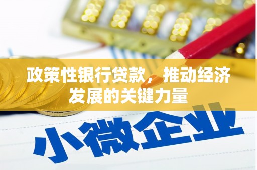 无为政策性银行贷款，推动经济发展的关键力量