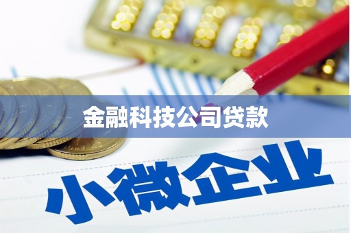 无为金融科技公司贷款