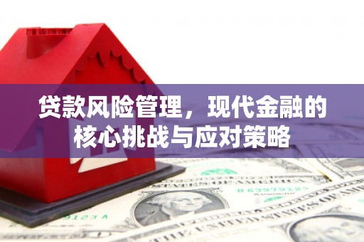 无为贷款风险管理，现代金融的核心挑战与应对策略