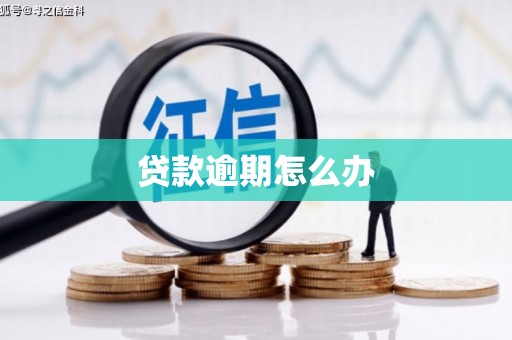 无为贷款逾期怎么办