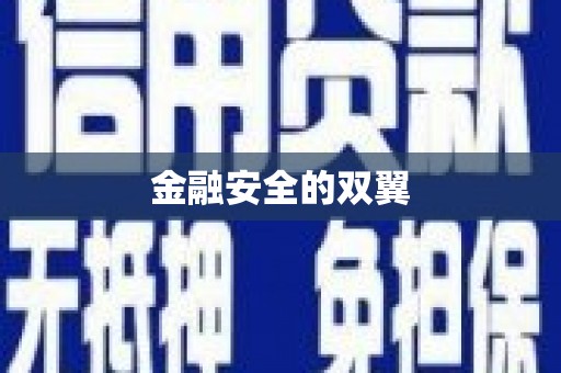 无为金融安全的双翼