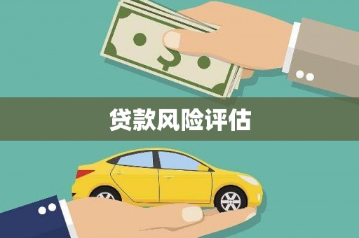 无为贷款风险评估
