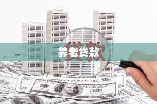 无为养老贷款