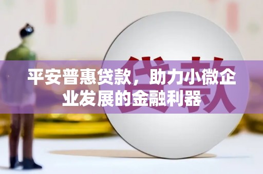 无为平安普惠贷款，助力小微企业发展的金融利器