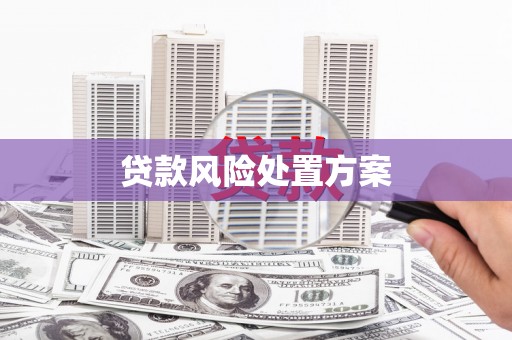 无为贷款风险处置方案