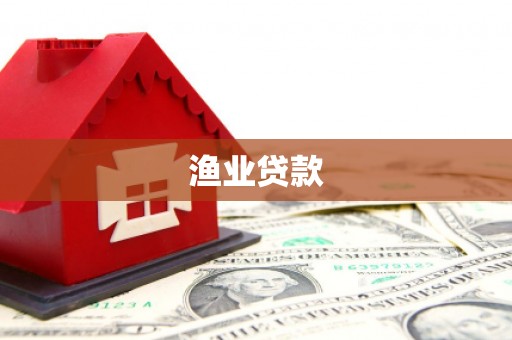 无为渔业贷款