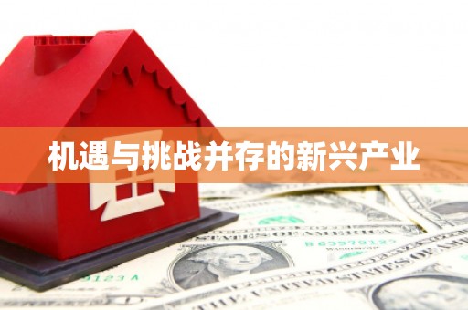 无为机遇与挑战并存的新兴产业