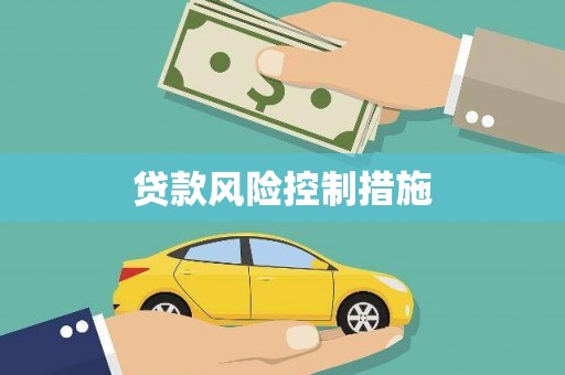 无为贷款风险控制措施