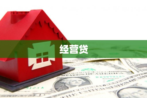 无为经营贷