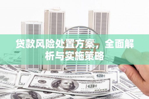 无为贷款风险处置方案，全面解析与实施策略