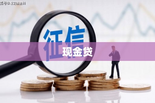 无为现金贷